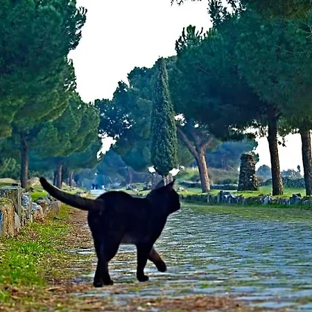 Appia Felis Panzió 4*