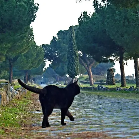 Bed & Breakfast Appia Felis 4*